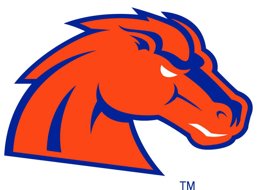 Boise State Broncos 2002-2012 Secondary Logo v31 diy iron on heat transfer